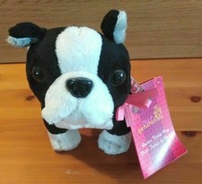 Notre chiot Boston Terrier