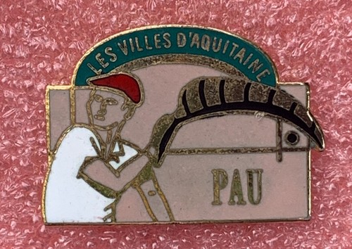 T08 pins pau - t08, joueur