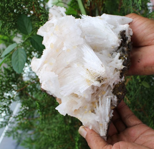 Cristaux calcite sur - de,