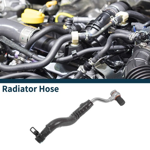 Radiator hose for - for, peugeot
