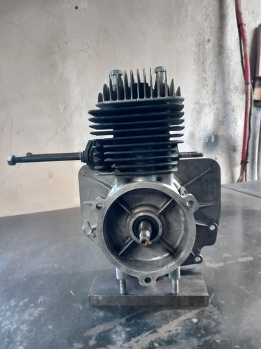 Moteur motostandard gutbrod - motostandard,
