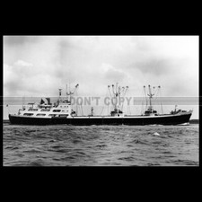 Photo B.004621 BEAVERFIR