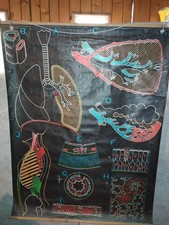 CARTE SCOLAIRE DR AUZOUX - APPAREIL RESPIRATOIRE / POUMON - P SOUGY - 100X130 CM