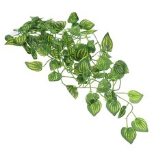  Décor De Terrarium Terrariums Pour Reptiles Accessoire Aquarium À