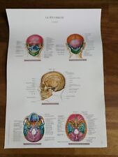 Lot de 3 planches KAMINA -