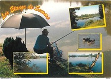 80 - Somme - Les Etangs de la Somme - Multivues - Peche à la ligne - Canards - C