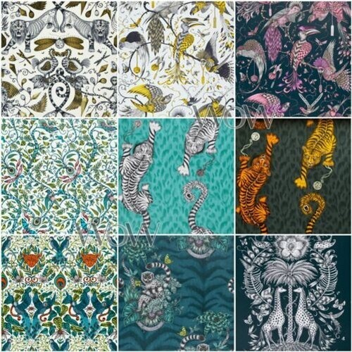 Emma shipley animalia papier - shipley,