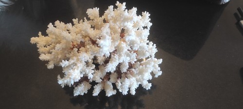Corail ancien décoration - de,