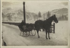 PHOTO ANCIENNE - VINTAGE SNAPSHOT - ANIMAL CHEVAL TRAINEAU NEIGE LUGE - HORSE