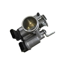 Corps De Papillon Flat Track