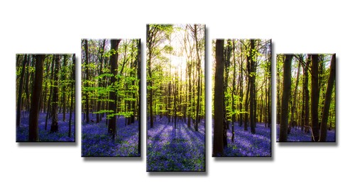 Tableau sur toile - foret, fleurs