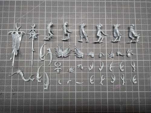 Daemonettes slaanesh - daemonettes, of