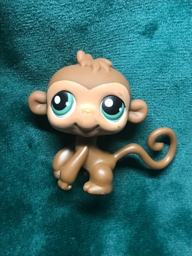 Petshop singe araignee - singe,