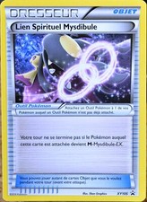 carte Pokémon XY105 Lien