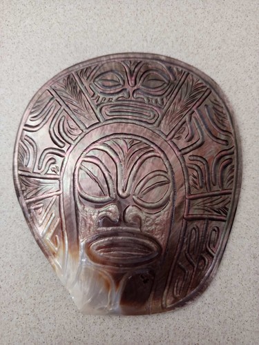 Coquillage nacre mother - mother, of
