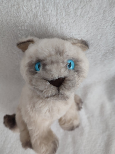 Doudou peluche vintage chat - vintage,