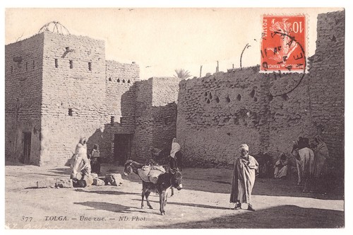 Cpa algerie tolga - algerie, rue
