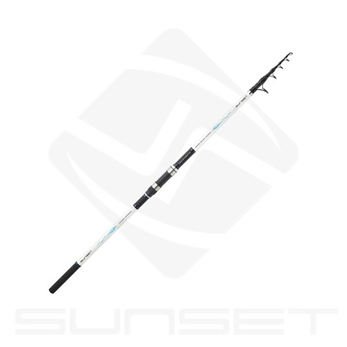 Canne pêche surfcasting - canne,