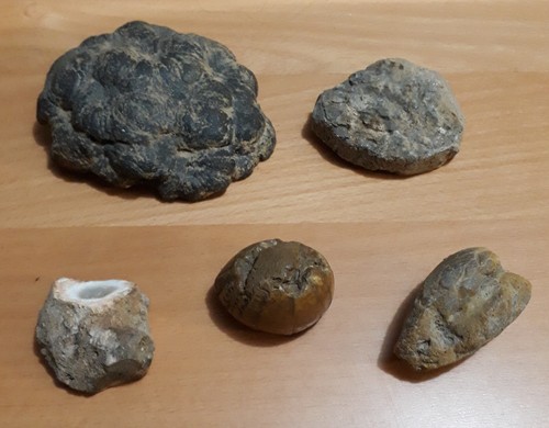 Lot pierres fossile - lot,