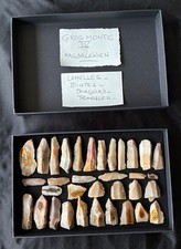 Préhistoire Silex