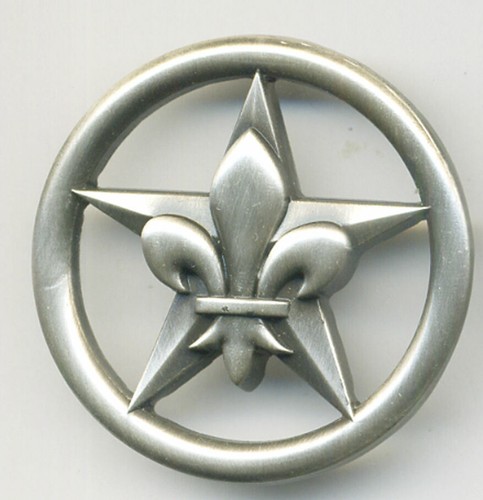 Scout morvan insigne de - scout,