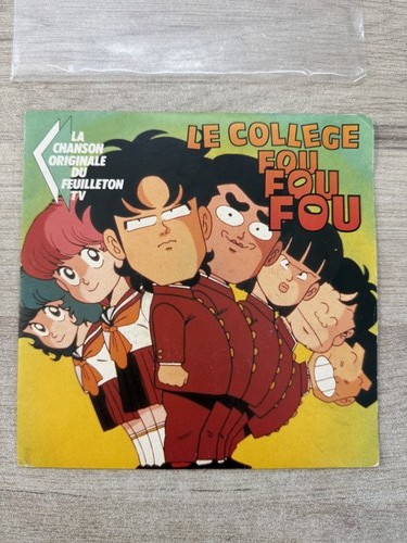Tours collège fou - le,