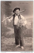 29 BRIEC - petit faneur