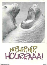 Carte Postale - Animaux -