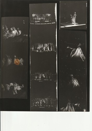 Photo planche contact - planche,