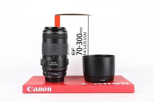Canon objectif 300mm - objectif, f4-5.6