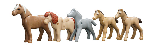 Playmobil poulain poney