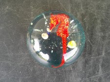 INCLUSION EN RESINE HIPPOCAMPE