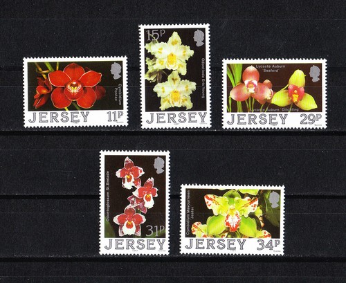 Jersey timbre fleurs - ,