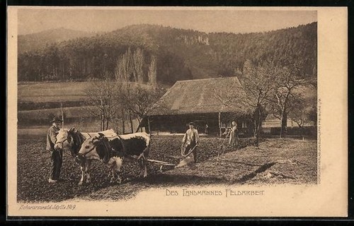 Carte postale paysan - carte, du