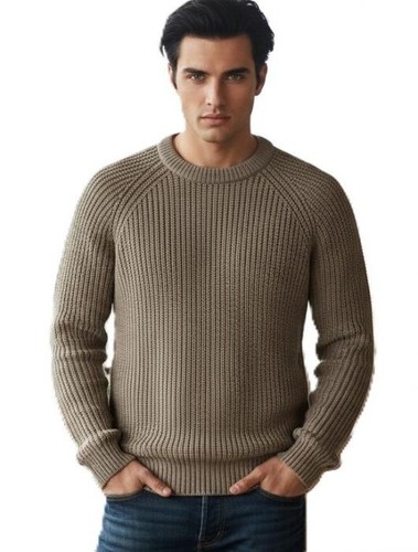Pull homme col - 100, %
