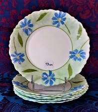 ARCOPAL * BLEUETS feuilles et