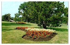 Carte Postale Non Utilisée Du