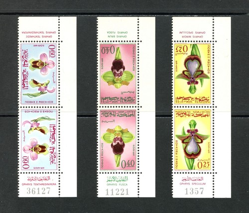 R0001 maroc 1965 orchids flora - maroc,