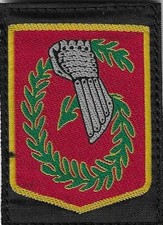 INSIGNE TISSU, PATCH MILITAIRE