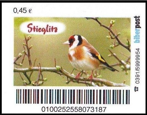Biberpost oiseaux - :,