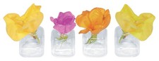 Lot de 12 vases de Table en