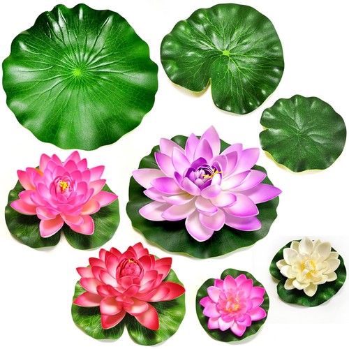 Lot plantes d - de,