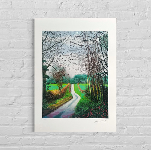 David hockney arrivée - david,