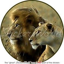 LION Paire Grand Chat ROI Leo