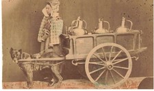 METIER #FG60149 LAITIERE EN