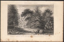 1866 Gravure originale