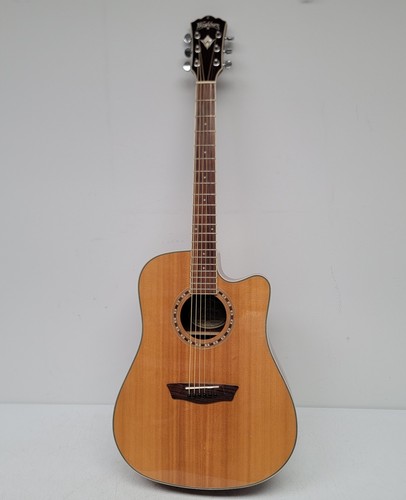 Washburn wd10sce - washburn,