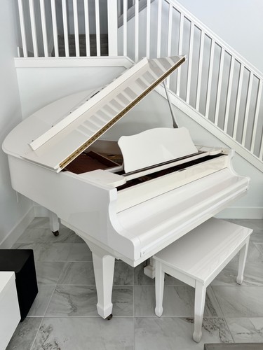 Baby grand piano young chang - piano,