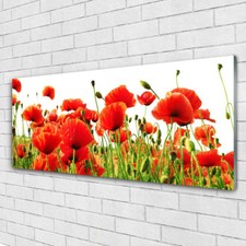 Impression sur verre acrylique Image tableau 125x50 Nature Coquelicots