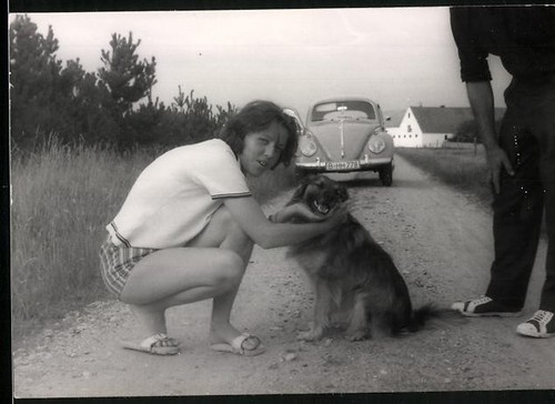 Photographie voiture - , vw